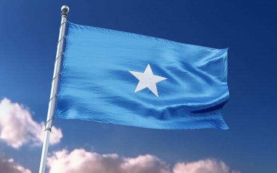 Somalinin baş naziri çevriliş cəhdini araşdırmaq üçün komitə yaradıb