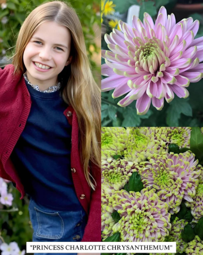 Bu güllərə onların adları verildi - Fotolar