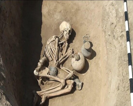 Goranboyda eradan əvvələ aid insan skeletləri aşkarlandı - FOTO