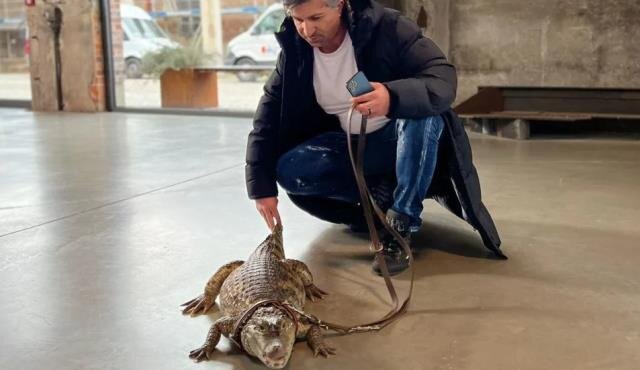 116 000 manata aldığı "ev heyvanı" görənləri ŞOK EDİR - FOTO