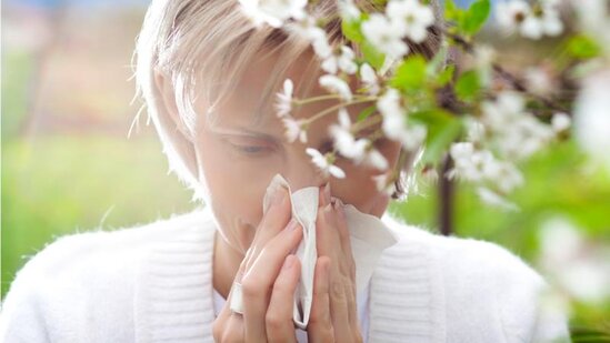 Fransada polen allergiyasına qarşı 81 bölgədə xəbərdarlıq edilib