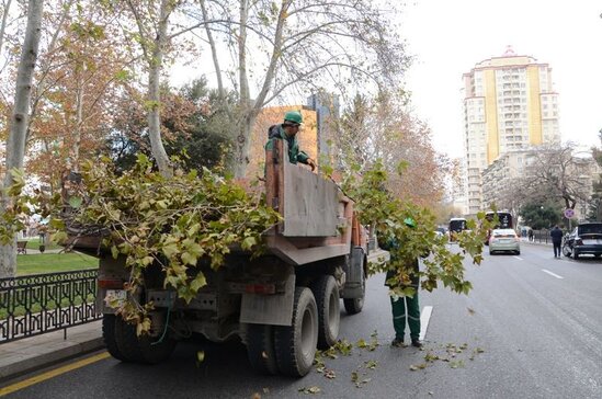 Bakıda 550 küçə dezinfeksiya edildi - FOTO