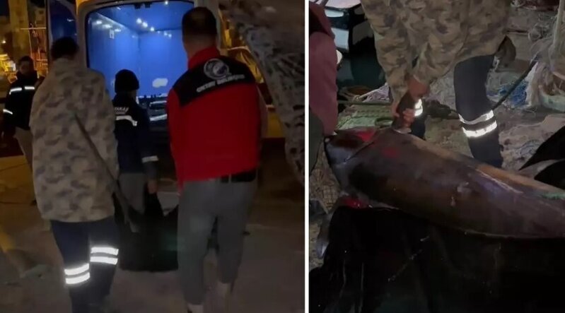 Ələ keçirtmək üçün 2 saat 30 dəqiqə mübarizə apardılar - VİDEO