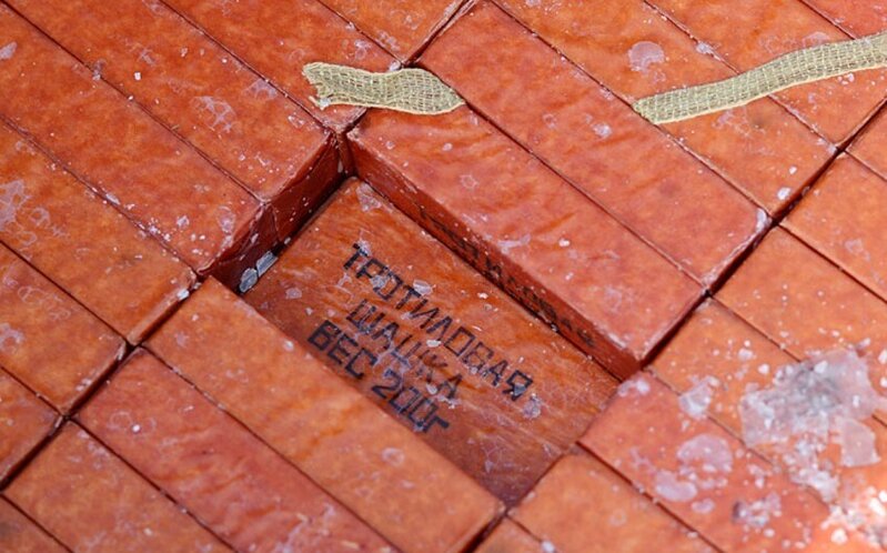 Finlandiya təcili şəkildə trotil zavodu tikmək istəyir