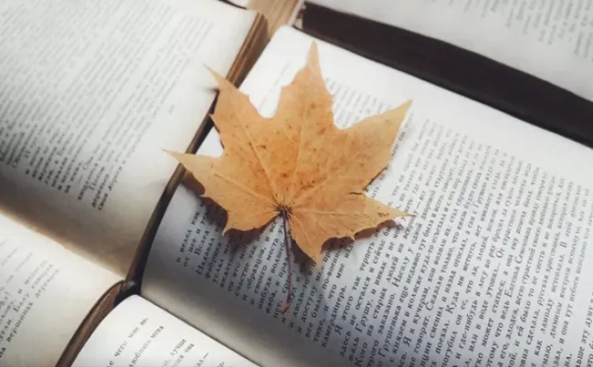 Kitab oxuyarkən buraxdığımız səhv - Alimlər xəbərdarlıq edir