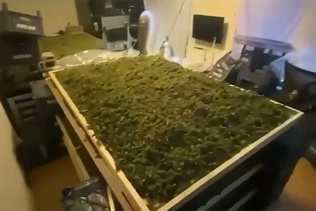 Türkiyədə bir həftədə 354,5 kq narkotik maddə aşkarlanıb, 768 nəfər saxlanılıb