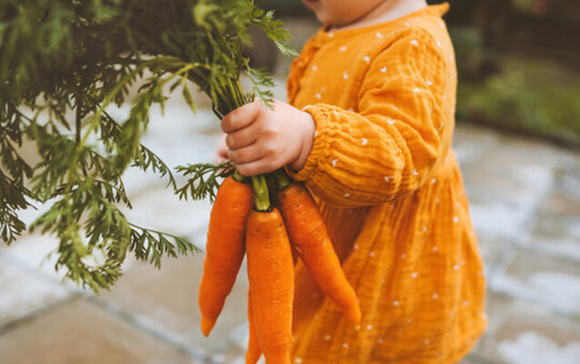 Hər gün yerkökü yesəniz, nə olar?