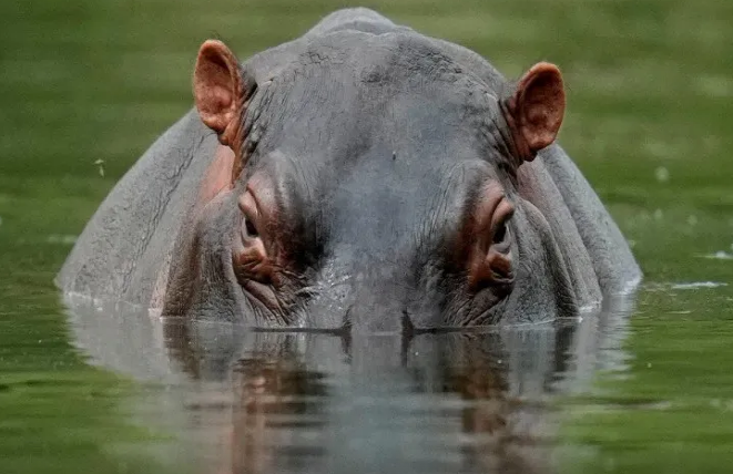 Begamot qayığı aşırdı, 11 nəfər itkin düşdü