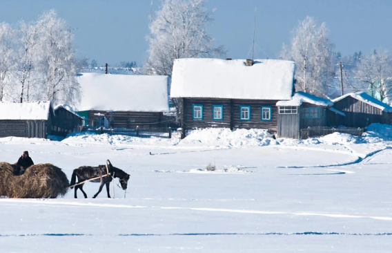 Belarusda bir kənd bütövlükdə 10 min dollara satışa çıxarıldı