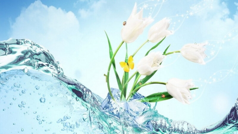 Bu gün Novruzun ilk - Su çərşənbəsidir