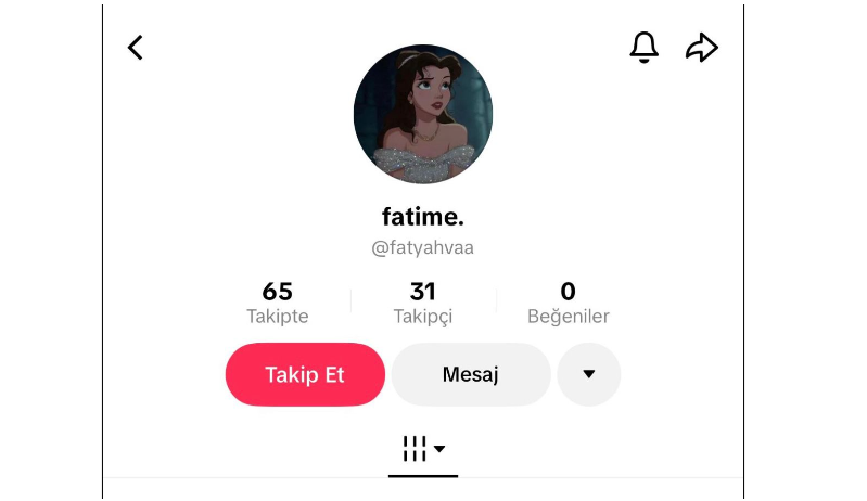 "TikTok"da bilet tələsi: konsert istəyən vətəndaşı belə aldatdılar - ŞİKAYƏT