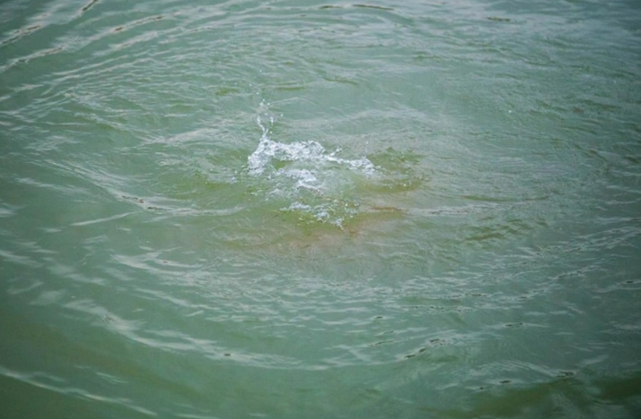 Ağdaşda FACİƏ: Kanalda boğulan şagirdin MEYİTİ TAPILDI