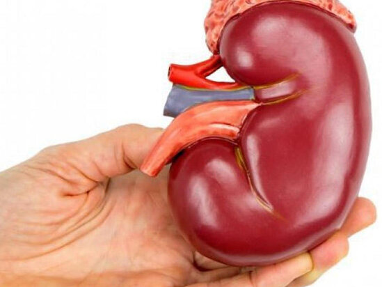 Xroniki böyrək çatışmazlığının patoloji anatomiyası