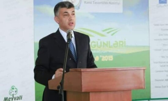 "Broker Əbülfəz"in həbsinin səbəbləri: Marşal adalarında offşor şirkətlər, Londonda biznes... (FOTOLAR)