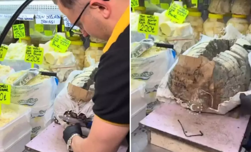 "Bunu necə yeyirlər?"