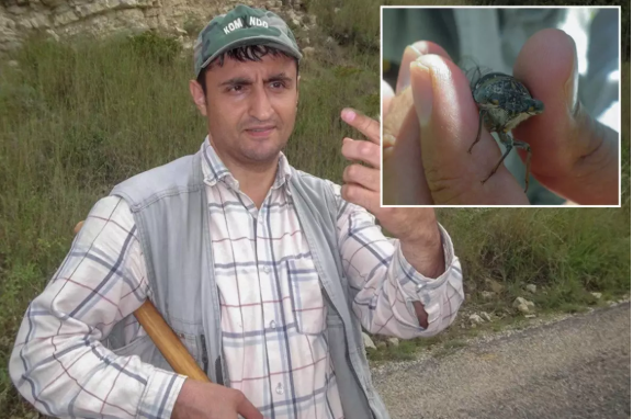 Yeni kəşf etdiyi böcəyə həyat yoldaşının adını verdi, tənqid olundu