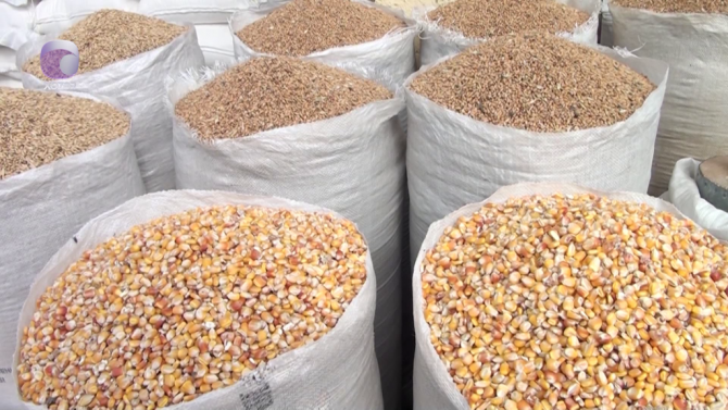 Bu rayonlarda ət ucuzlaşıb - FOTO/VİDEO