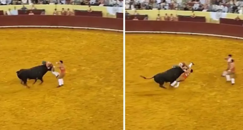 Buğa güləşçisi faciəvi şəkildə vəfat etdi: azarkeş infarkt keçirdi