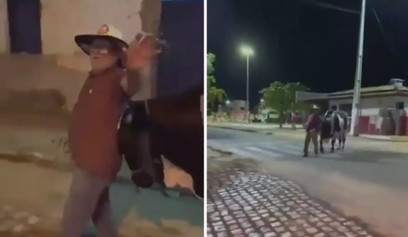 İnanılmaz hadisə: itkin düşən sərxoş adamı öz öküzü tapıb evə apardı - VİDEO