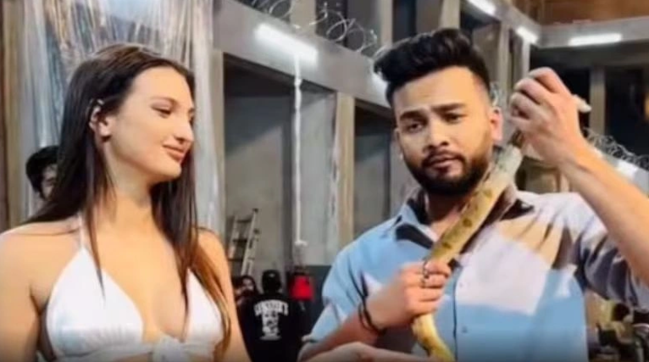 İlan zəhərini narkotik kimi hazırlamışdı! Məşhur fenomen HƏBS EDİLDİ