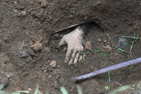 İşğal altında olan Melitopoldakı istirahət parkında 13 yaşlı qızın meyiti tapılıb - FOTO