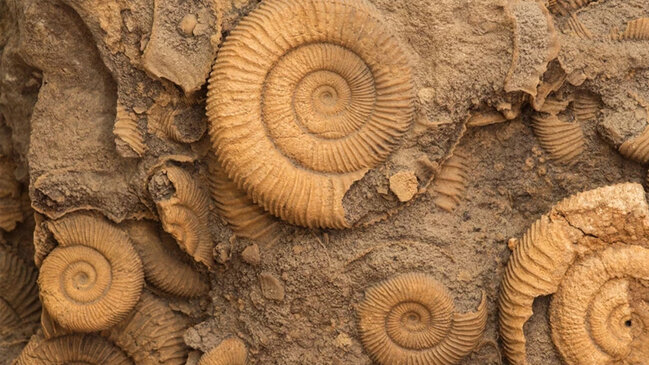 İmkansızı bacarıb, sağ qaldılar: Sonlarını başqa səbəb gətirdi