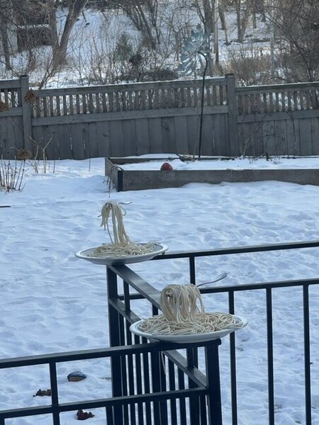 Donmuş spagetti viral oldu - Video