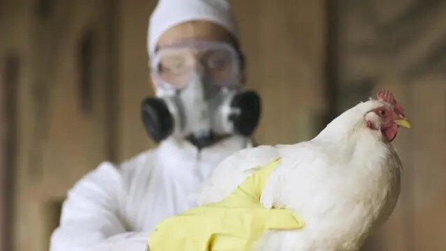 Dünyanı ŞOKA salacaq yeni pandemiya - DƏHŞƏTLİ DETALLAR