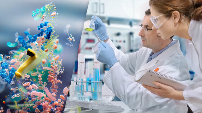 Miqyaslar heyrətamizdir: Çin şəhərləri üzərində bütöv plastik buludlar aşkarlandı