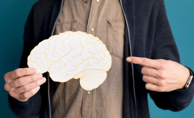 İnsan beyninin təkamül prosesində necə sürətlə böyüdüyü müəyyən edilib