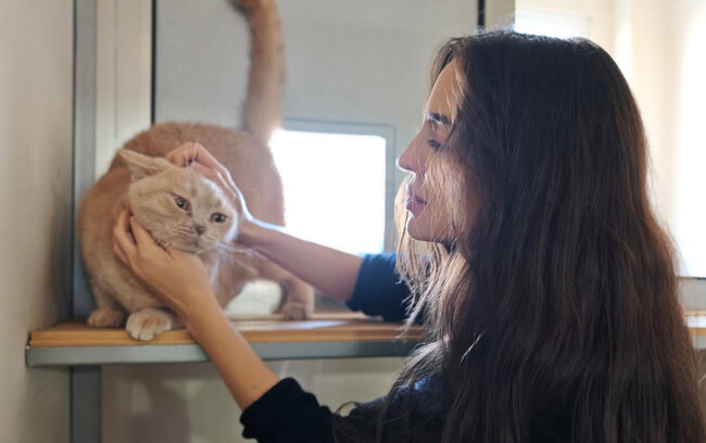 Leyla Əliyeva IDEA Heyvanlara Qayğı Mərkəzində - Fotolar