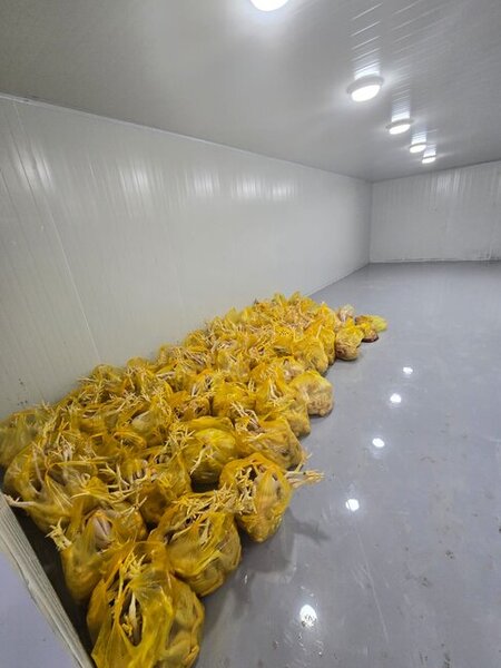 "Kənd toyuqları"nı bu vannalarda "istehsal edirmişlər" - Fotolar