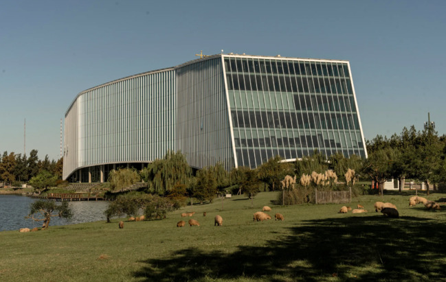 Nəhəng gəmiricilər bir qəsəbəni "ələ keçirdi" - FOTO