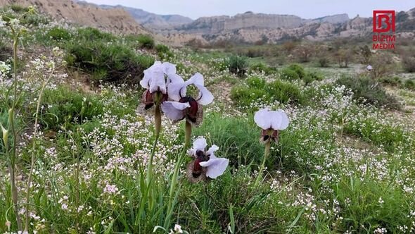 Azərbaycanda Kapadokya ilə müqayisə edilən yeni milli park yaradılır - FOTO