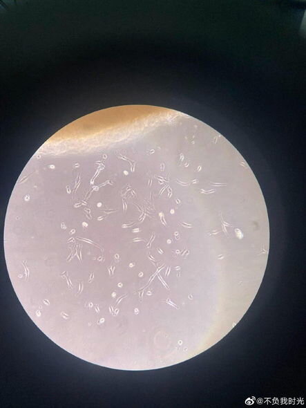 Oğlunu sağaltmaq üçün evində laboratoriya düzəltdi - FOTO