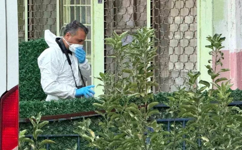 16 yaşlı oğlan anasını və 5 yaşlı bacısını öldürdü