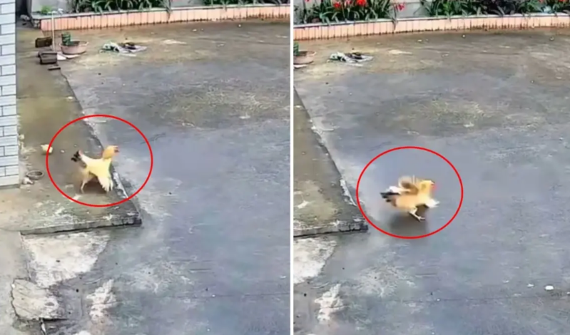 Kameralara düşən görüntü sosial mediada geniş rezonans doğurdu: Kaş ki, hər ana belə olaydı