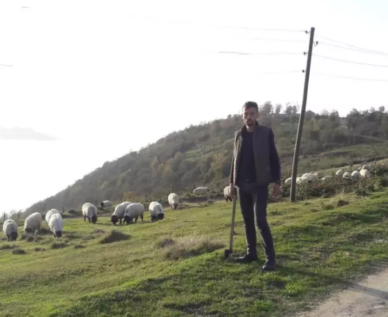 Çoban da gənədən öldü...