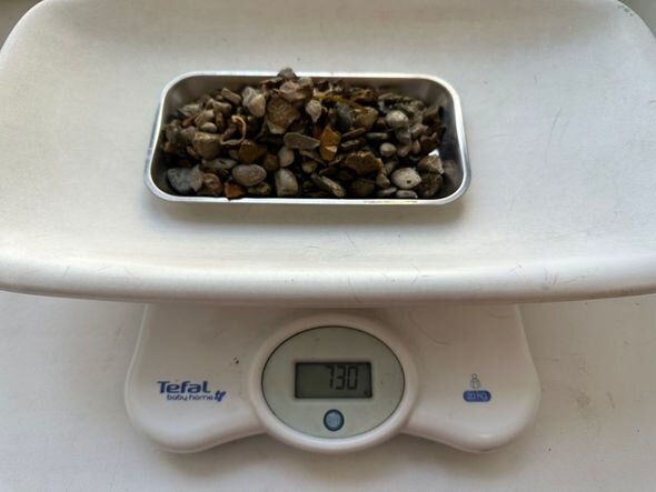 Kiçik it bir kiloqram daş yedi - FOTO