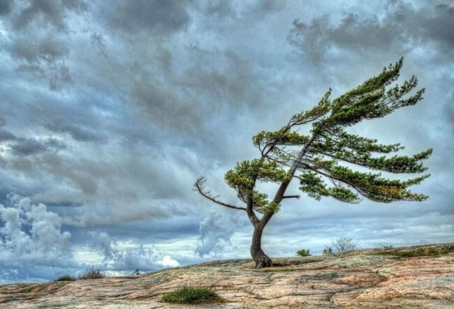 XƏBƏRDARLIQ! Sabah duman olacaq, külək əsəcək...