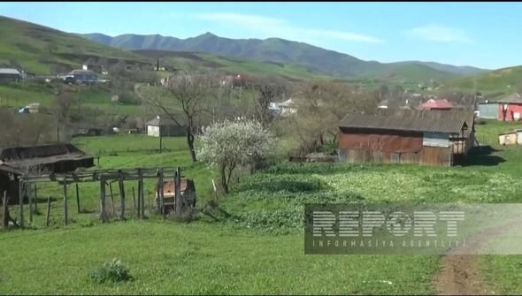 İtkin düşən qadının anası: "Qızım hamilə olanda əri onu Türkiyədə dilənçiliyə məcbur edib"