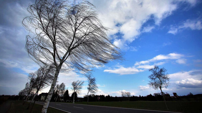 Küləkli hava şəraiti ilə bağlı SARI XƏBƏRDARLIQ