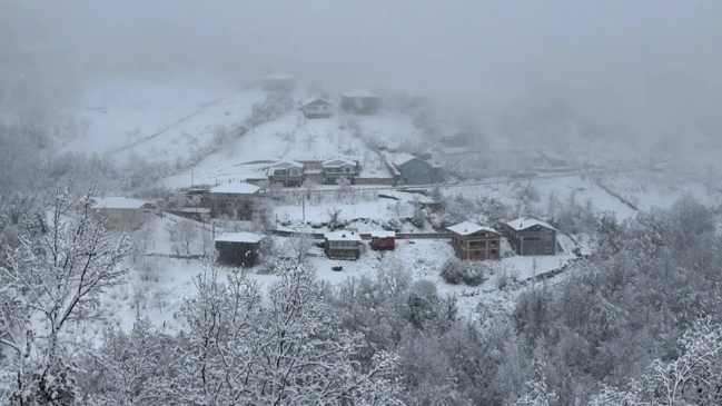 Bu kənddə hamının adı EYNİDİR: kişilərin də, qadınların da - VİDEO