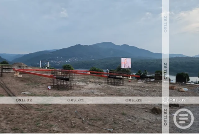 Masallıda restoran rəhbərliyi ağacların kökündən çıxarılmasına görə CƏRİMƏLƏNDİ - FOTO