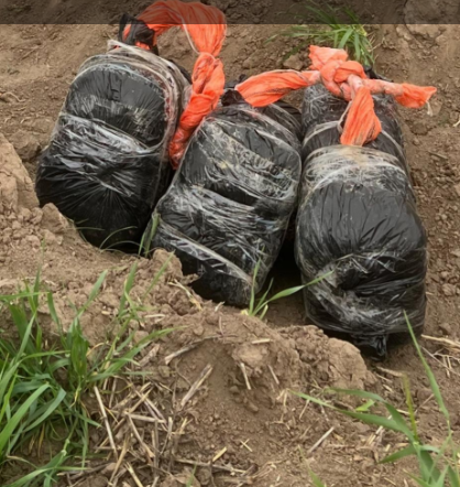 İranla sərhəddə atışma: Ölən və saxlanılan var - FOTOlar