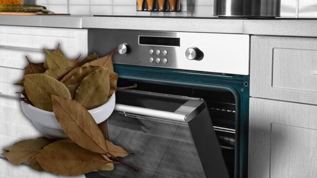 Sobaya dəfnə yarpağı qoyun - nəticəyə İNANMAYACAQSINIZ