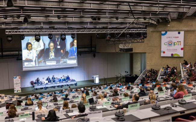 ÜST-nin Çərçivə Konvensiyasının növbəti konfransı İrəvanda keçiriləcək