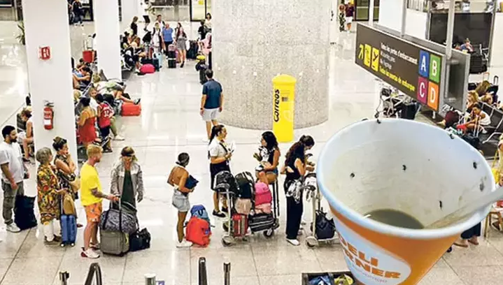 Az qala ÖLƏCƏKDİ: Qadın kofe içən zaman stəkanda ölü böcəklər gördü