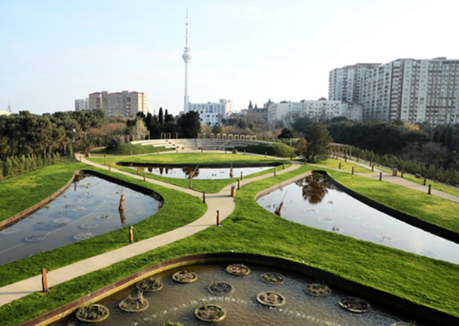 "Mərkəzi Nəbatat və Dendrologiya Bağı" MMC yaradılır