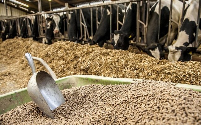 Yem əlavələrinə dair sanitariya norma və qaydalar təsdiqlənib